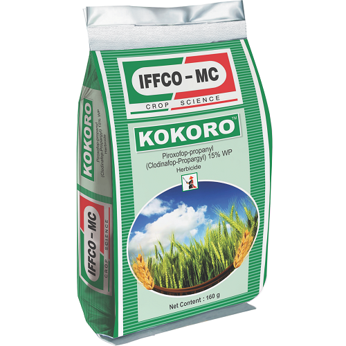 KOKORO