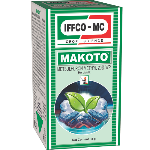 MAKOTO