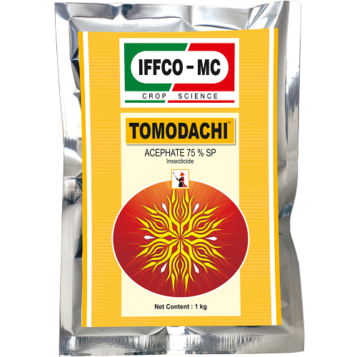 TOMODACHI