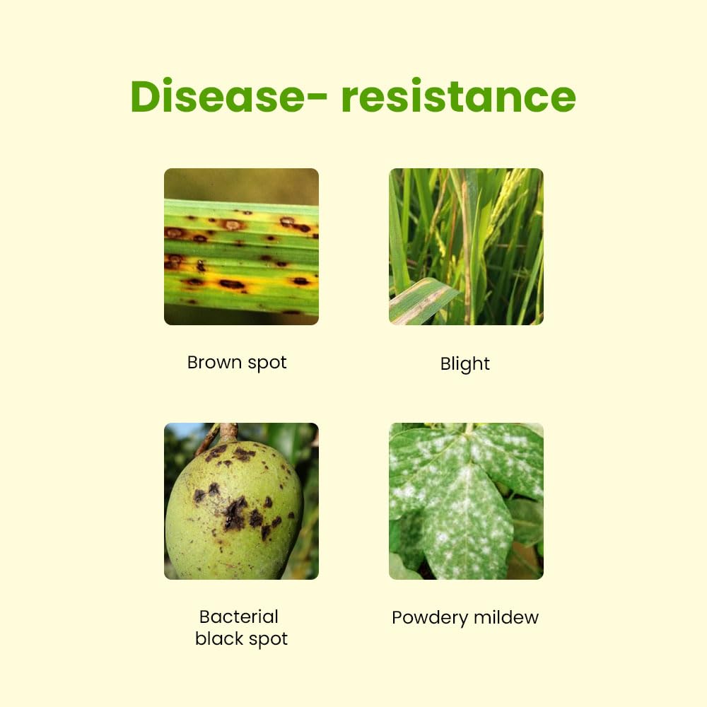 IFFCO - ALL ROUNDER+ 500ml - Plant & Crop Disease Management & Yield Booster - Organic and Safe for Crops - Liquid