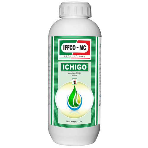 ICHIGO