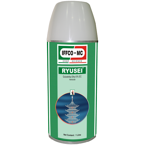 RYUSEI